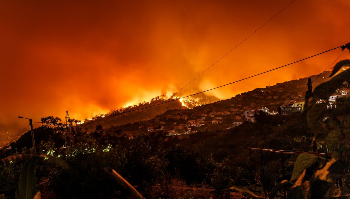 We React Differently To Danger: Lessons From Wildfires & Grace